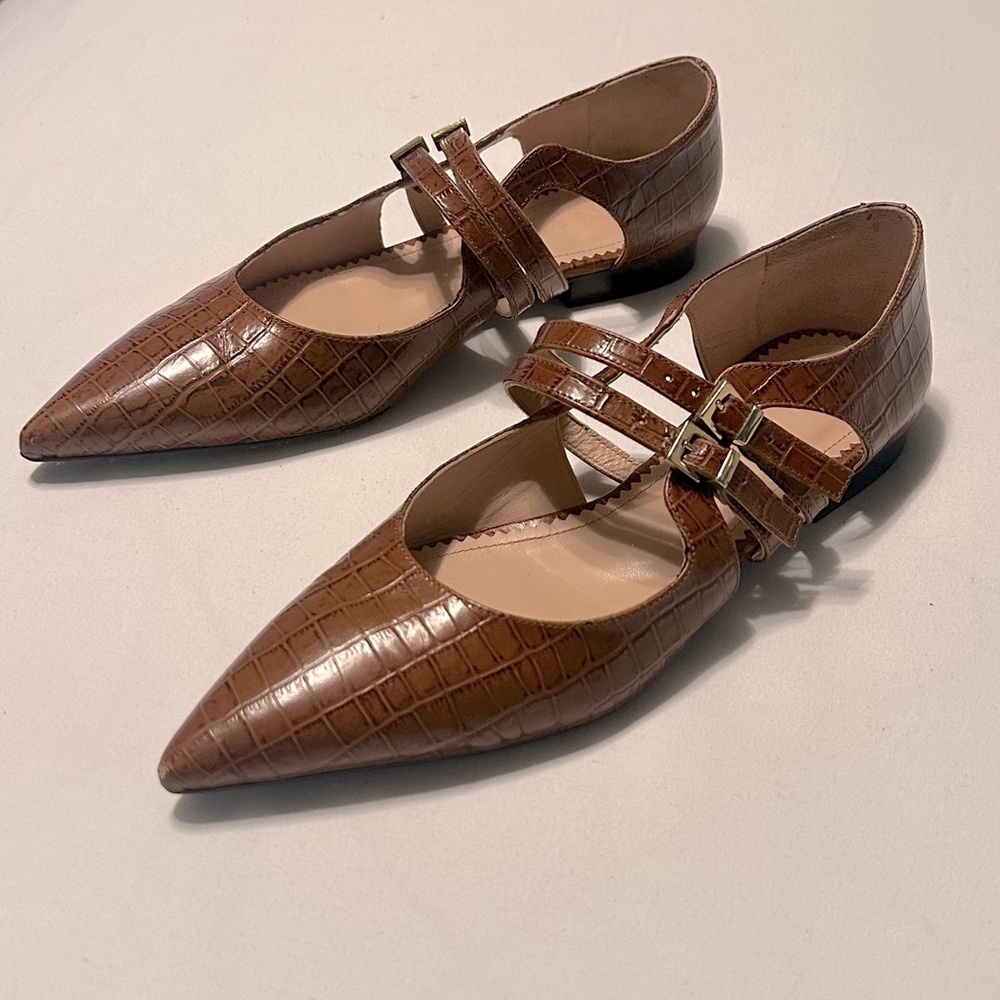 Vintage Pointed Toe Side Buckle Flat